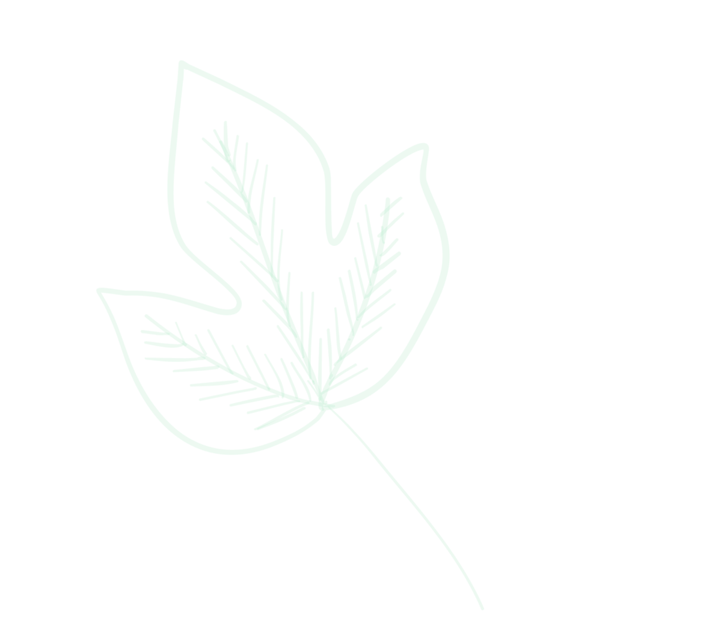 Café Mi Gran Sabana